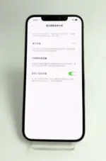 【嚴選二手機】Apple iPhone 12 Pro Max  256G 銀色