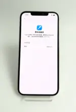 【嚴選二手機】Apple iPhone 12 Pro Max  256G 銀色